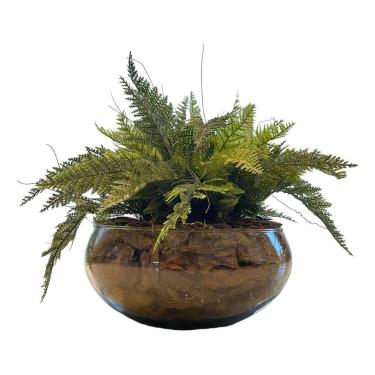 Imagem de Arranjo Completo Samambaia Centro Mesa Grande Vaso De Vidro - Decore F