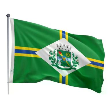 Imagem de Bandeira do Município de Paulínia Uma Face Estampada Tamanho 70x100cm 