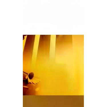 Imagem de Livro: Perfil de Três Reis - Congratulations Store