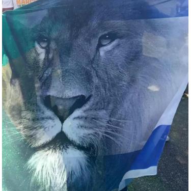 Imagem de BANDEIRA DE LEÃO, tecido com imagem de leão - Praise The Lord, haste d