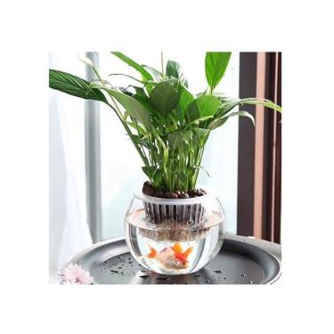 Imagem de Vasos de plantas Vaso hidropônico planta vaso de vidro transparente água peixe recipiente verde pote interior(Médio)
