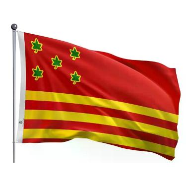 Imagem de Bandeira do Município de Ilhéus Uma Face Estampada Tamanho 70x100cm - 