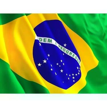 Imagem de Bandeira Do Brasil Oficial Grande 2,70m X 1,80m Em Tecido - NYR FESTAS