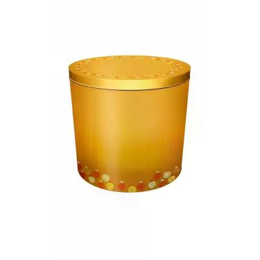 Imagem de Panettone Frutas Cristalizadas Uvas Passas Lata 750g - Congratulations