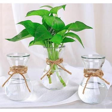 Imagem de Três vasos de vidro hidropônico de jacinto, vaso de decoração de casa, garrafas de flores de cultivo de plantas de interesse DIY (transparente)