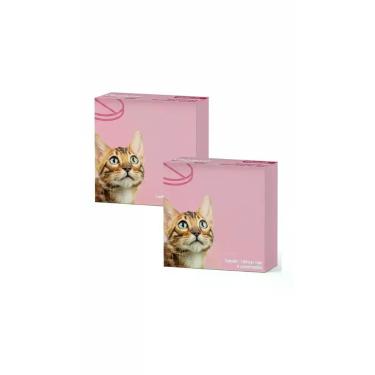 Imagem de Vermífugo Gatos 4 Comprimidos Kit Econômico C/02 Cx - Congratulations 