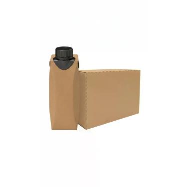 Imagem de Kit Bebida Proteica UHT Pasta Amendoim 12x250ml - Congratulations Stor