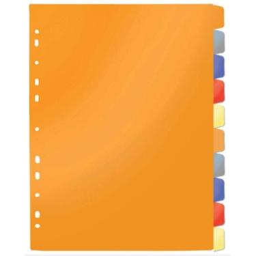 Imagem de Divisória Colorida Para Fichário Universitário Com 10 6922-Cl Dac