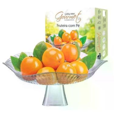 Imagem de Fruteira Centro de Mesa e Saladeira Ruvolo de Vidro com Pé Modena