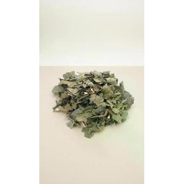 Imagem de Folhas de Guaçatonga para Chá 1kg - Congratulations Store