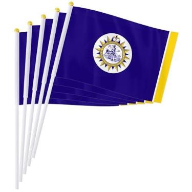 Imagem de PTEROSAUR Conjunto de bandeiras portáteis da cidade de Nashville, 14 x 20 cm, mini bandeira de Nashville para desfiles, festas, celebrações e decoração de casa (pacote com 100)