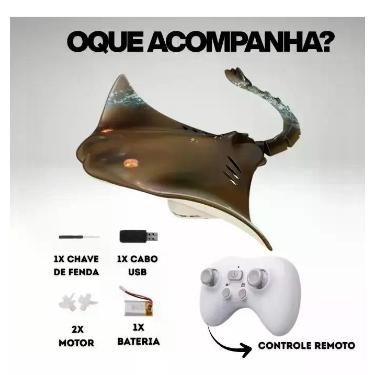 Imagem de Arraia de Controle Remoto 2,4 GHz Recarregável para Água - Bellavié To