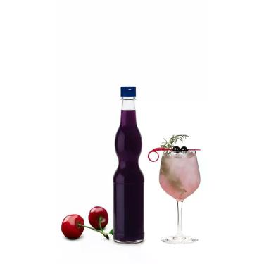 Imagem de Xarope Fruta Silvestre Zero Açúcar Concentrado 560ml - Congratulations