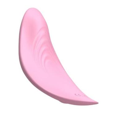 Imagem de Vibrador Calcinha Feminino Com Controle Remoto Sem Fio Estimulador de Clitóris 10 Velocidades Sexuais
