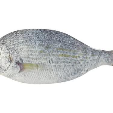 Imagem de Estojo de lápis em forma de peixe bonito estilo coreano pano sacos de material escolar artigos de papelaria caixa de caneta quente presente (Cinza claro)