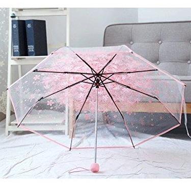 Imagem de ZPSHYD Guarda-chuva dobrável, 1 pç guarda-chuva dobrável transparente guarda-chuva princesa elegante flor de cerejeira guarda-chuva de chuva de quatro cores (verde claro)