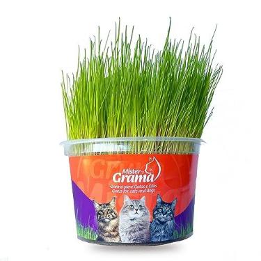 Imagem de Mister Grama - Litter made from grass - 1 Unidade - Dono de animais de estimação