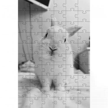 Imagem de Kit 2 Quebra-cabeça Inclusivos Beleza dos Coelhos em 40 Peças Grandes para Memória e Concentração Indicado para Idosos
