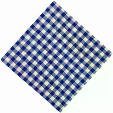 Imagem de Guardanapo de Papel Xadrez Festa Junina 16,5x16,5CM Azul e Branco Pacote com 20 Unidades