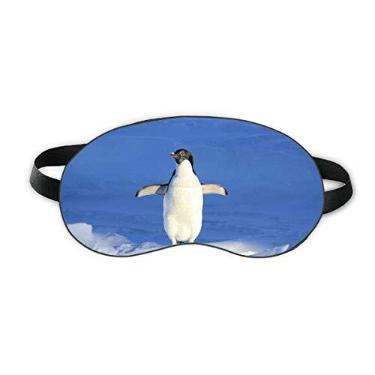 Imagem de Lindo pinguim branco ciência natureza imagem sono sombra sombra sombra sombra macia noite