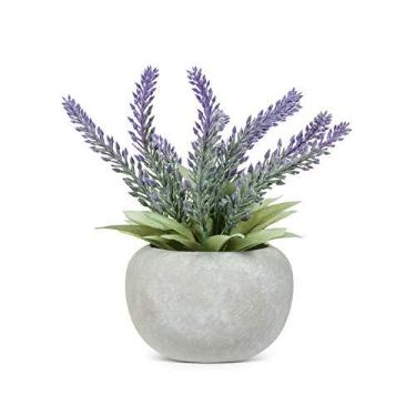 Imagem de Abbott Collection 27-BLOOM-11 Conjunto de lavanda em vaso, roxo