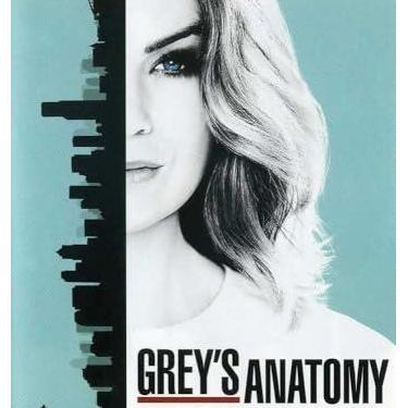 Imagem de Grey's Anatomy: The Complete Thirteenth Season