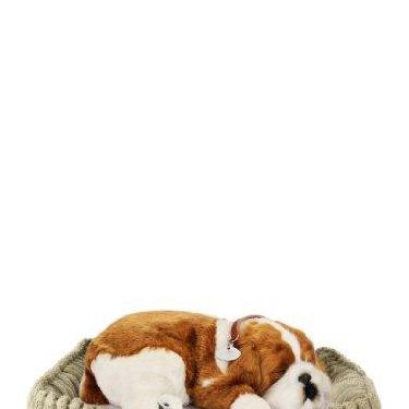 Imagem de Pelúcia De Cachorro Buldog Filhote