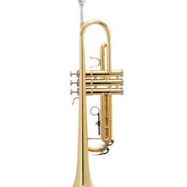Imagem de Htr001 - trompete, tom bb, laqueado na cor ouro, marca halk
