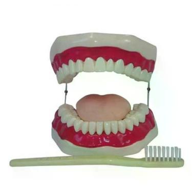 Imagem de Boca com Arcada Dentária Língua e Escova