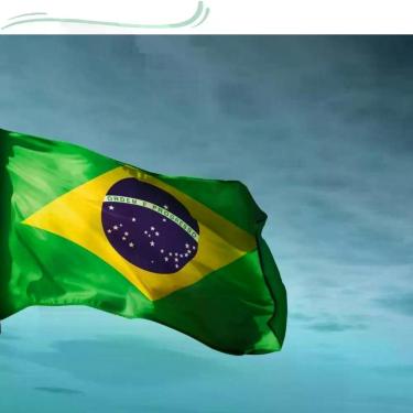 Imagem de Bandeira Brasil 2.00x1,.40mt Copa do Mundo - WCAN