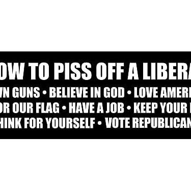Imagem de Adesivo de para-choque de armas de vinil americano How to Piss Off A Liberal Own Guns (Trump GOP conservador anti)