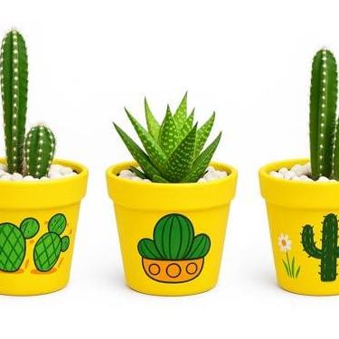 Imagem de Trio de Vasos de Barro para Suculentas – Pintados à Mão com Estilo Artesanal e Exclusivo