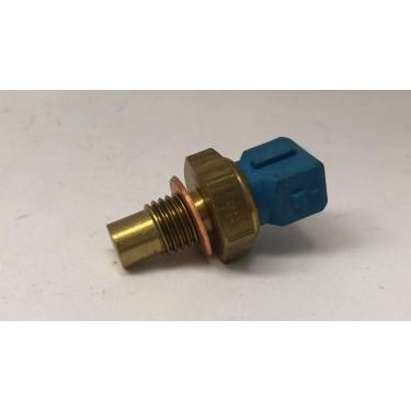 Imagem de Plug eletronico astra/omega/vectra, r19, nubira, 440 - MTE, Único, Cin