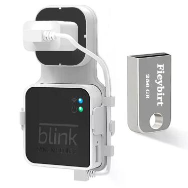 Imagem de Unidade flash USB de 256 GB com suporte de saída para o módulo Blink S