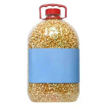 Imagem de Milho para Pipoca Tipo Mushroom 4,5kg - Congratulations Store