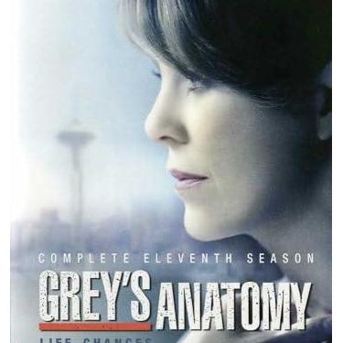 Imagem de Grey's Anatomy: Complete Eleventh Season