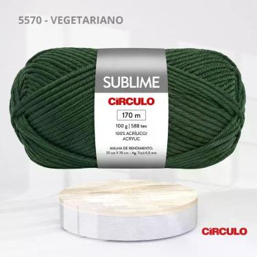Imagem de Fio Lã Sublime 100% Acrílico 100g 170m para Tricô e Crochê Toque Macio