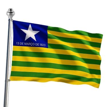 Imagem de Bandeira do Piauí Oficial em Tecido Reforçado 90x128cm - Zambeze