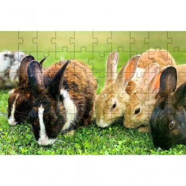 Imagem de Quebra-cabeça Inclusivo 300 Peças Coelhos Que Encantam e Ensinam para Memória e Concentração Coleção Tea e Amor