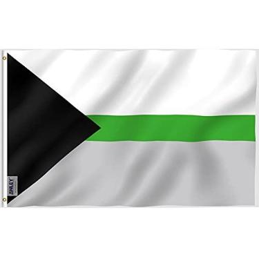 Imagem de Bandeira Anley Fly Breeze 3x5 Foot Demiromantic Pride - Vivid Color and Fade Proof - Cabeçalho de Lona e Costura Dupla -Demiromantic LGBT Flags Poliéster com ilhós de latão 3 X 5 Ft