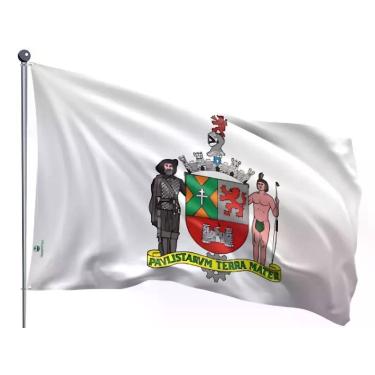 Imagem de Bandeira do Município de São Bernardo do Campo Uma Face Estampada Tama