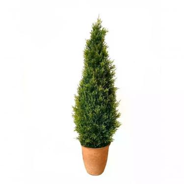 Imagem de Árvore De Natal Verde 55Cm - En922