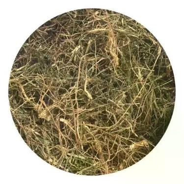 Imagem de Vassourinha Doce 1kg (Erva Desidratada) - Magnata das Ervas