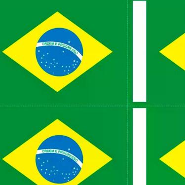 Imagem de Tnt Estampado Mini Bandeira Do Brasil - 5 Metros