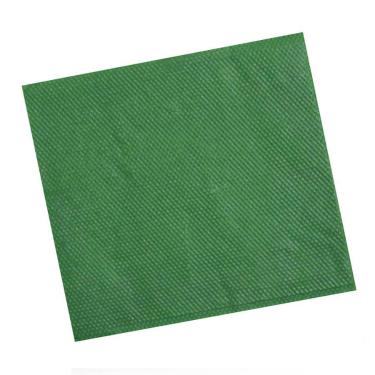 Imagem de Guardanapo de Papel Campfestas Verde Bandeira 19,5x22,5cm