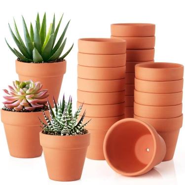 Imagem de WinJiaYao Vasos de Barro 24 Unidades 8 cm Mini Terracota