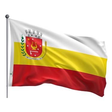 Imagem de Bandeira do Município de Maringá Dupla Face Estampada Tamanho 90x128cm