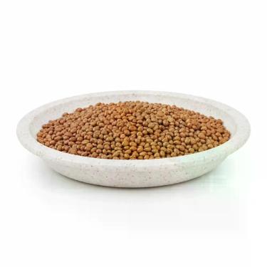 Imagem de Nabão Semente para Pássaros 1kg Alimento Natural Rico em Nutrientes pa