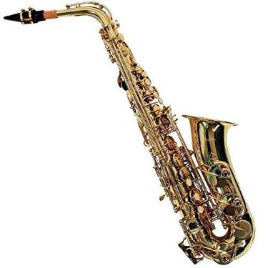 Imagem de SAXOFONE ALTO SHELTER SFT6430L