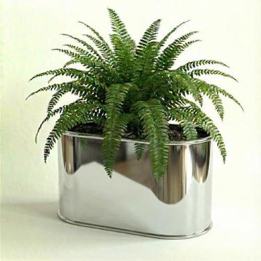Imagem de Genérico, Jardineira Retangular, Uso Interno, Tamanho P, Branco, Plástico, Vaso de Plantas, Retangular, Montagem em Parede, Vaso para Plantas, 11x12x6 cm